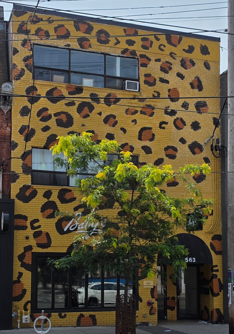 mural in Toronto by artist unknown.