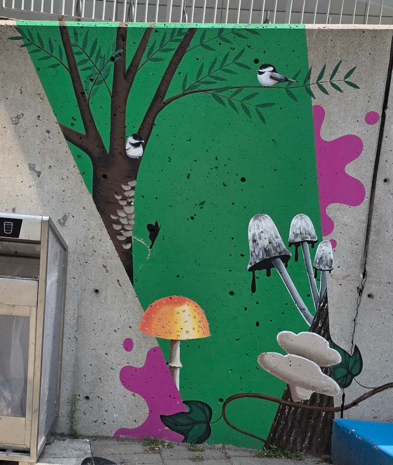 mural in Toronto by artist unknown.