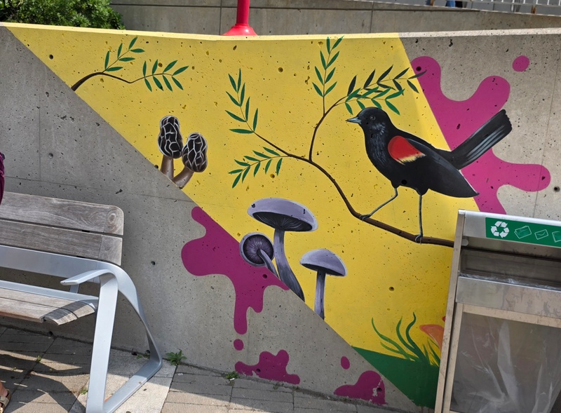 mural in Toronto by artist unknown.