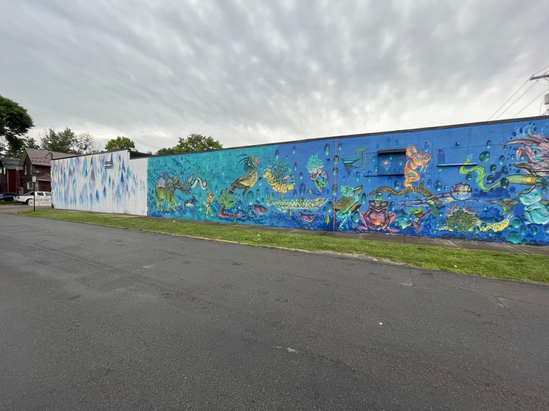 mural in Rochester by artist unknown.