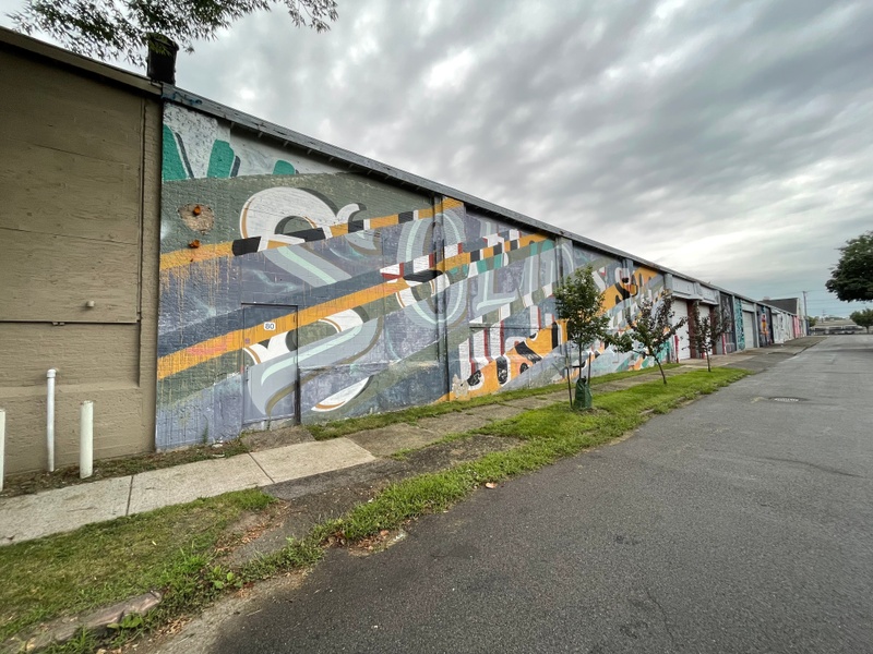 mural in Rochester by artist unknown.