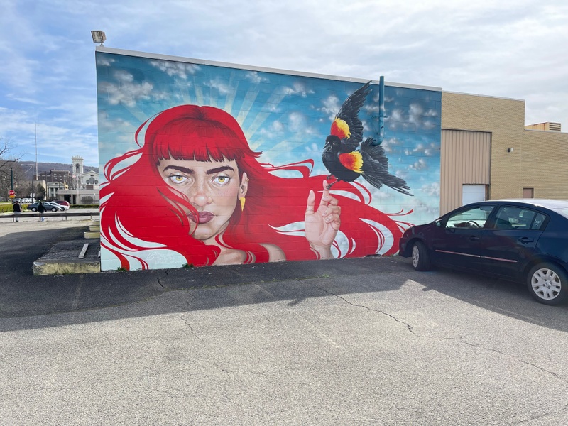 mural in Elmira by artist unknown.