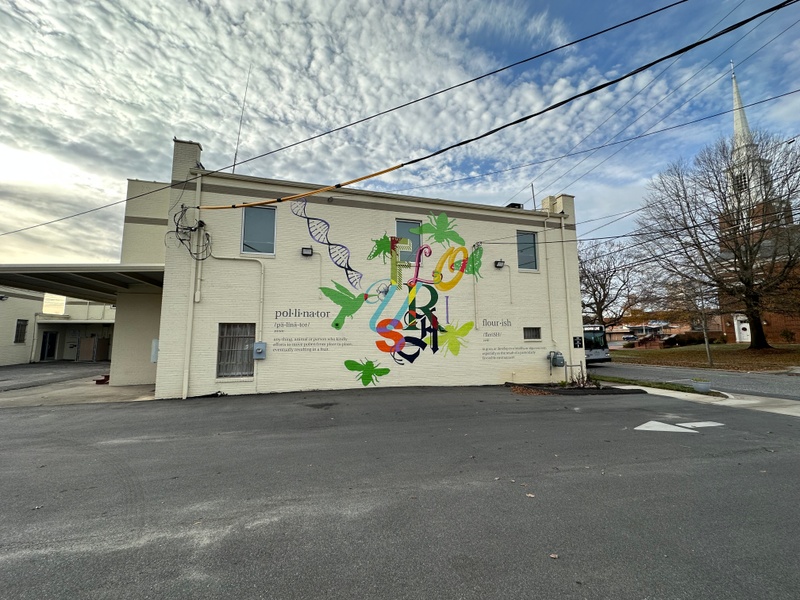 mural in Gastonia by artist unknown.
