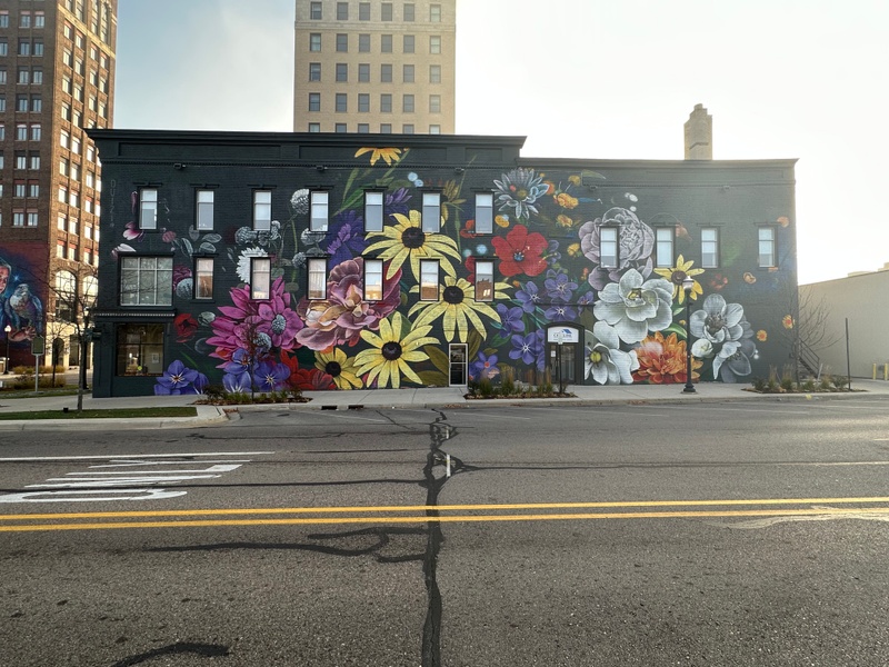 mural in Jackson by artist unknown.