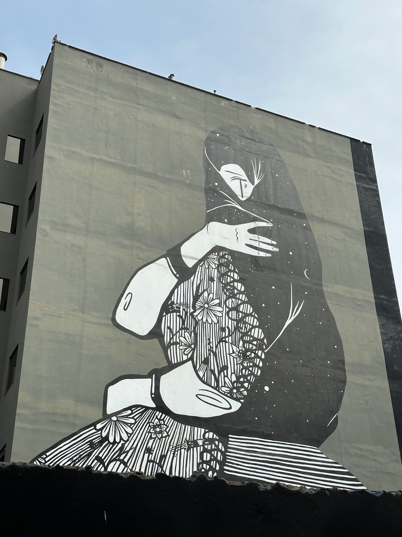 mural in Miraflores by artist Alex Senna.