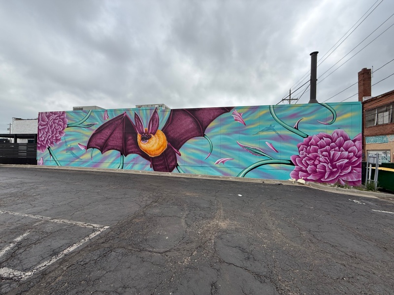 mural in Kansas City by artist unknown.