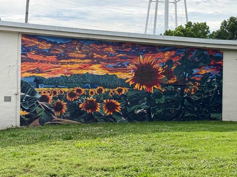 mural in De Soto by artist unknown.
