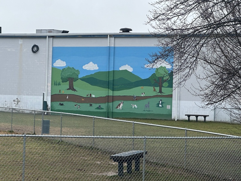 mural in Princeton by artist unknown.