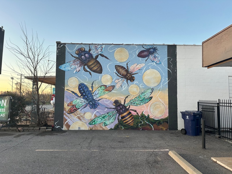 mural in Oklahoma City by artist unknown.