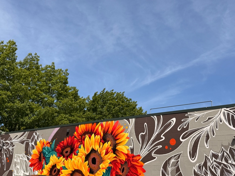 mural in Bellingham by artist unknown.
