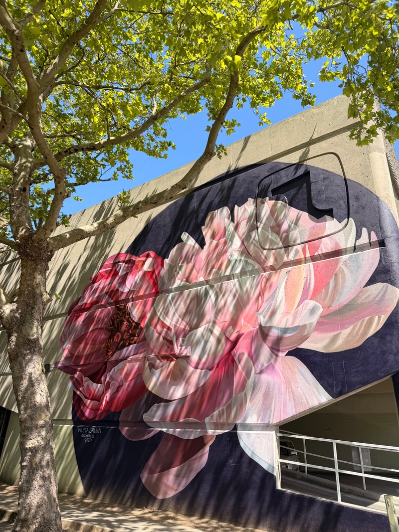 mural in Bellingham by artist unknown.