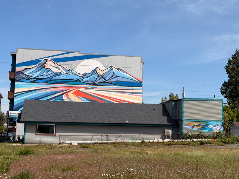 mural in Bellingham by artist unknown.
