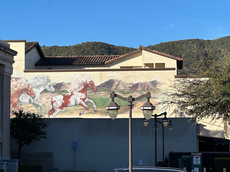 mural in Temecula by artist unknown.
