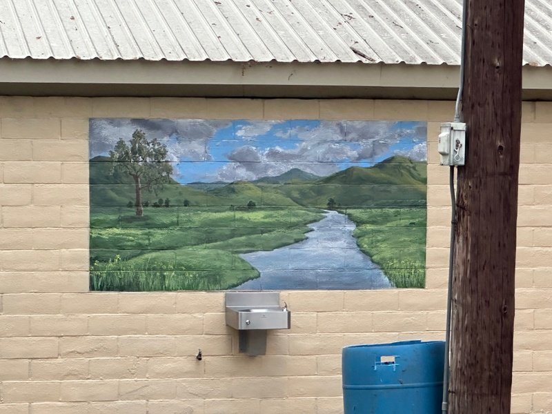 mural in Visalia by artist unknown.