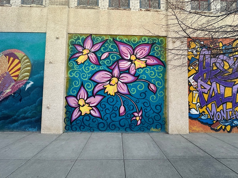 mural in Great Falls by artist unknown.