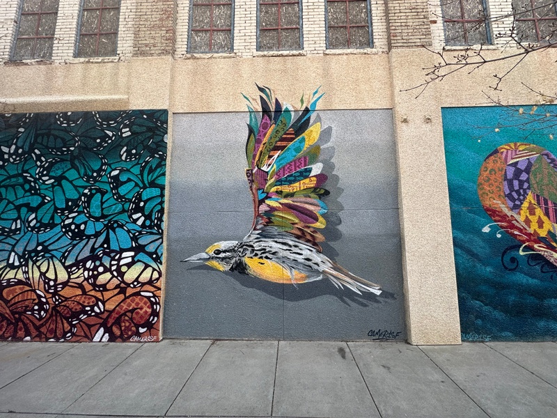 mural in Great Falls by artist unknown.