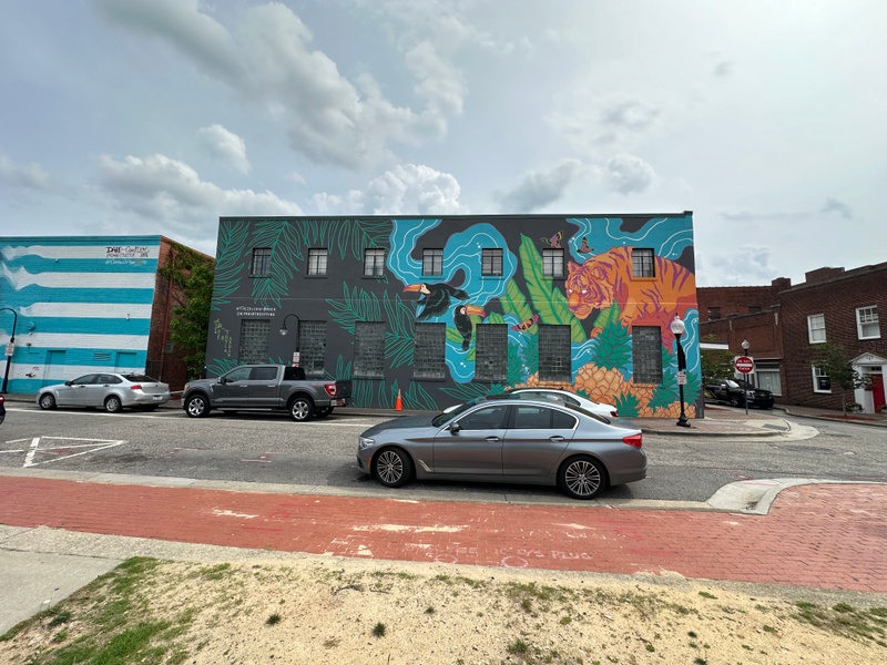 mural in Fayetteville by artist unknown.