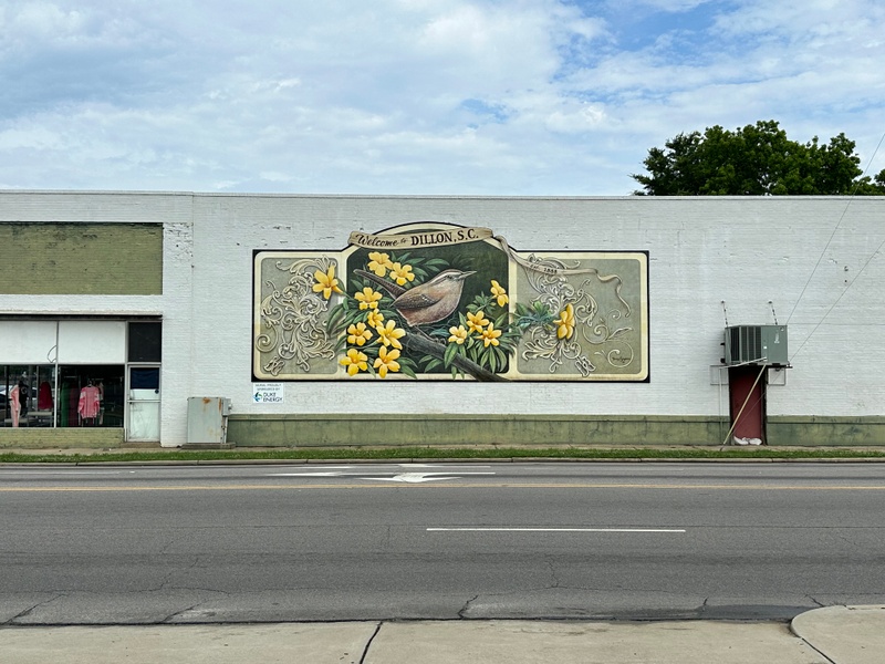 mural in Dillon by artist unknown.
