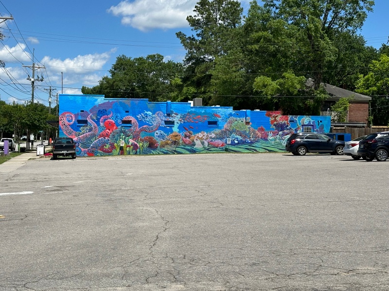 mural in Cayce by artist unknown.