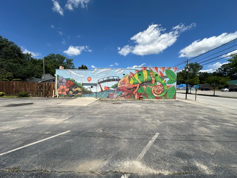 mural in Cayce by artist unknown.