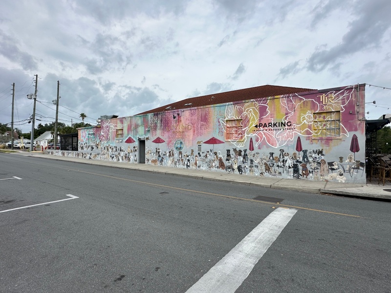 mural in Dunedin by artist unknown.