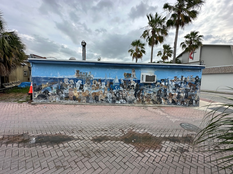 mural in Dunedin by artist unknown.