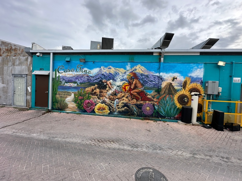 mural in Dunedin by artist unknown.