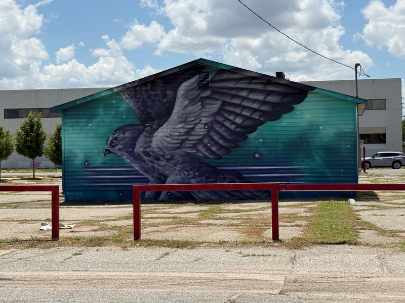 mural in Hutchinson by artist unknown.