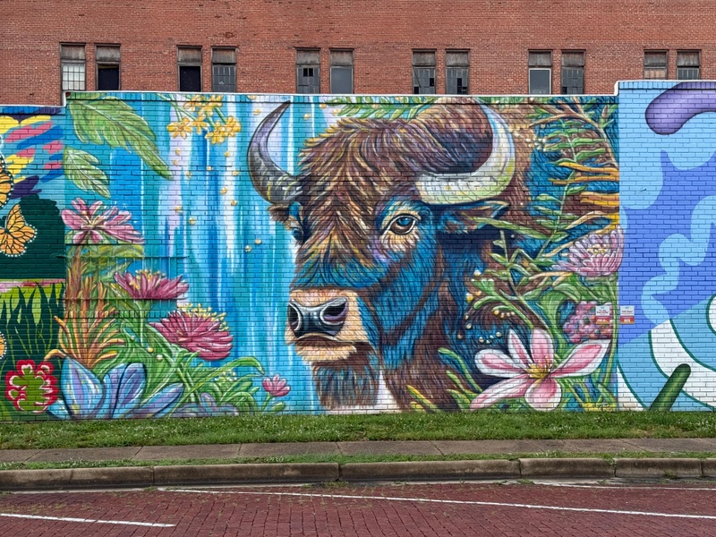 mural in Ponca City by artist unknown.