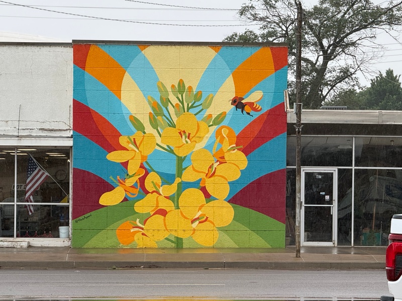 mural in Alva by artist unknown.