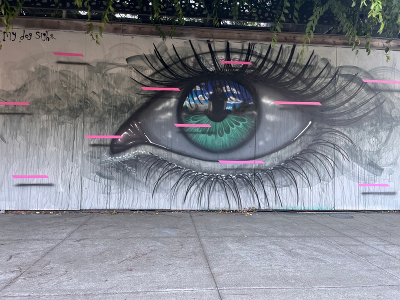 mural in Sacramento by artist unknown.