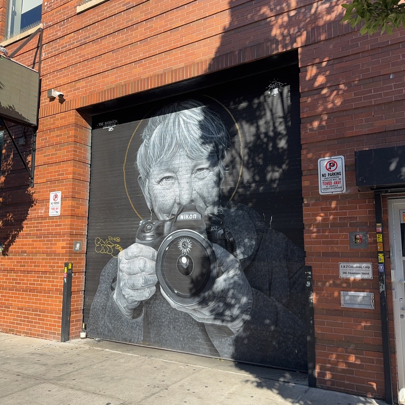 mural in Brooklyn by artist SWED.