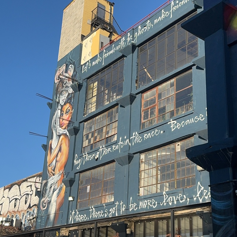 mural in Brooklyn by artist Herakut.