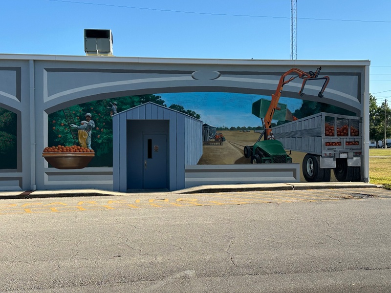 mural in Lake Placid by artist unknown.