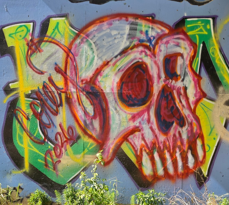 mural in Fairbanks by artist unknown.