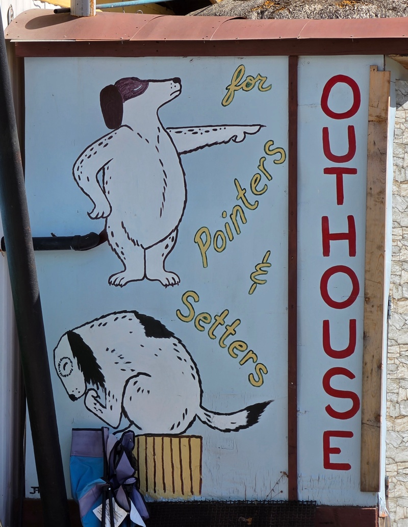 mural in Fairbanks by artist unknown.