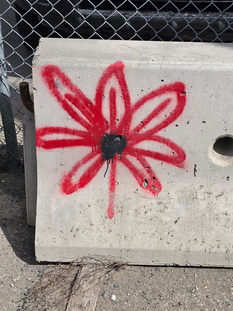 mural in Whitehorse by artist unknown.