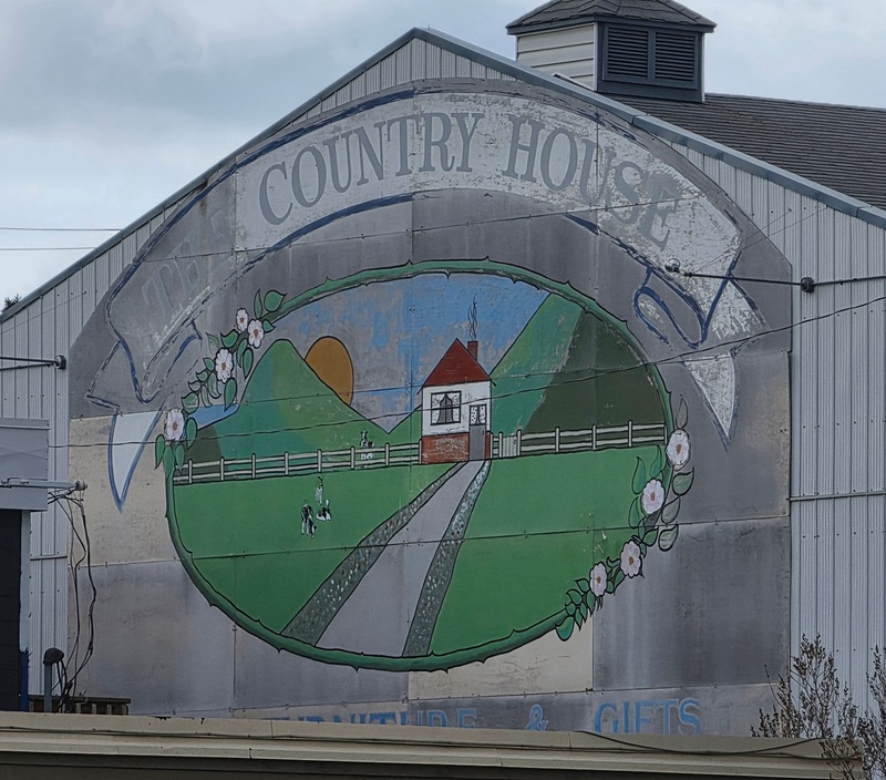 mural in Whitehorse by artist unknown.