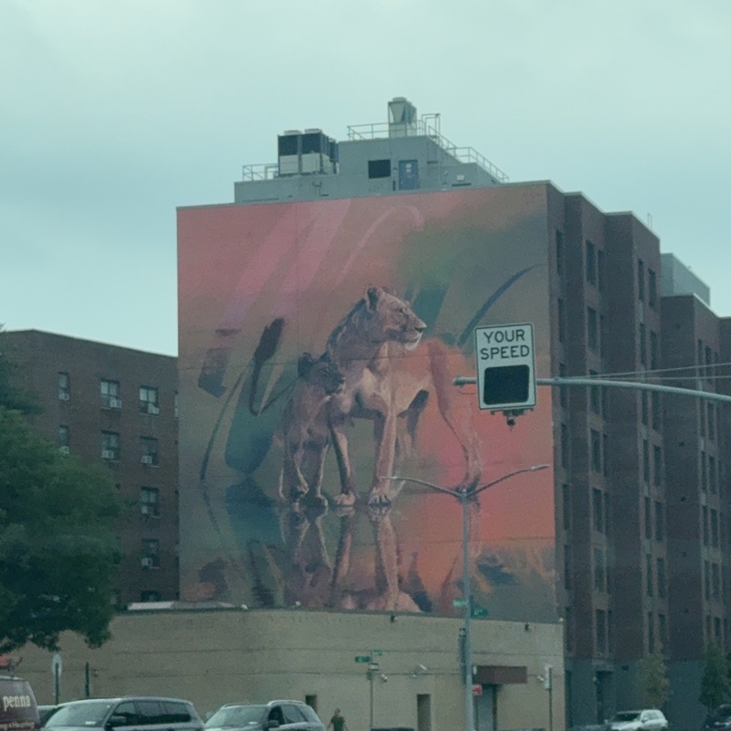 mural in Queens by artist unknown.