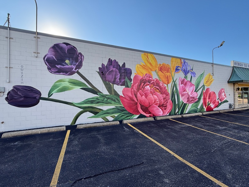 mural in Holland by artist unknown.