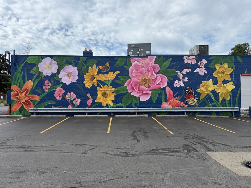 mural in Monroe by artist Ouizi.