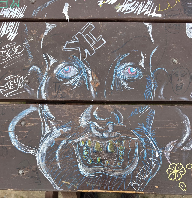 mural in Fairbanks by artist unknown.