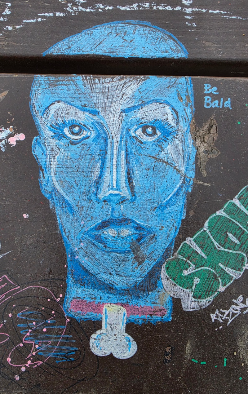 mural in Fairbanks by artist unknown.