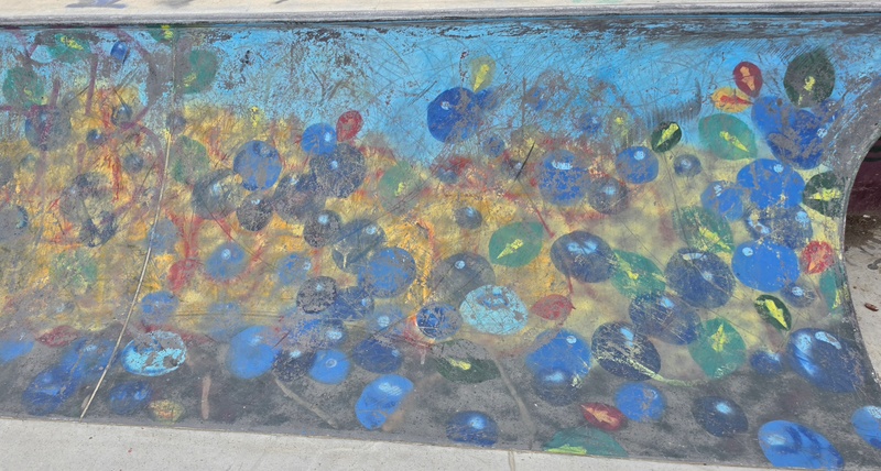 mural in Fairbanks by artist unknown.