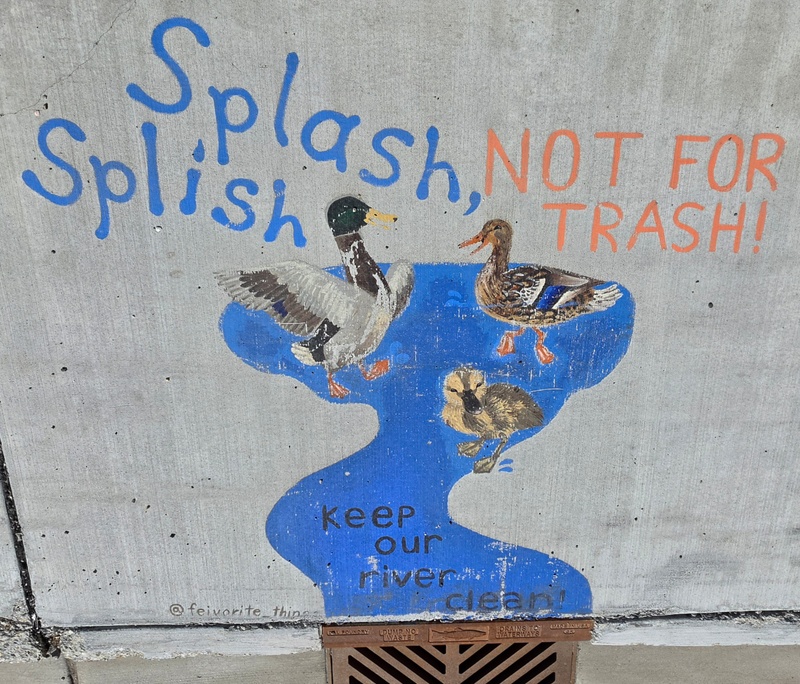 mural in Fairbanks by artist unknown.