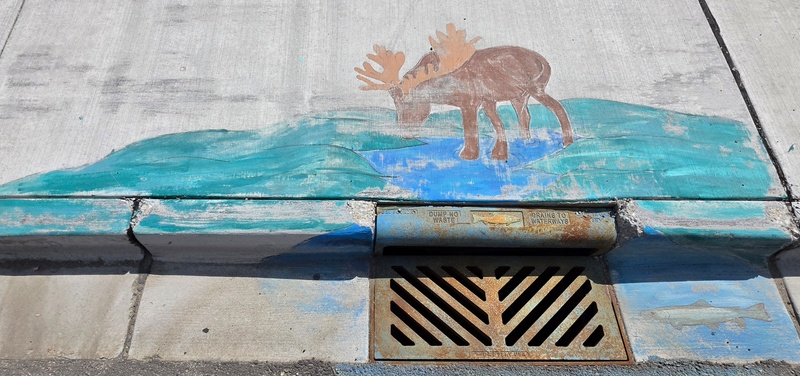 mural in Fairbanks by artist unknown.