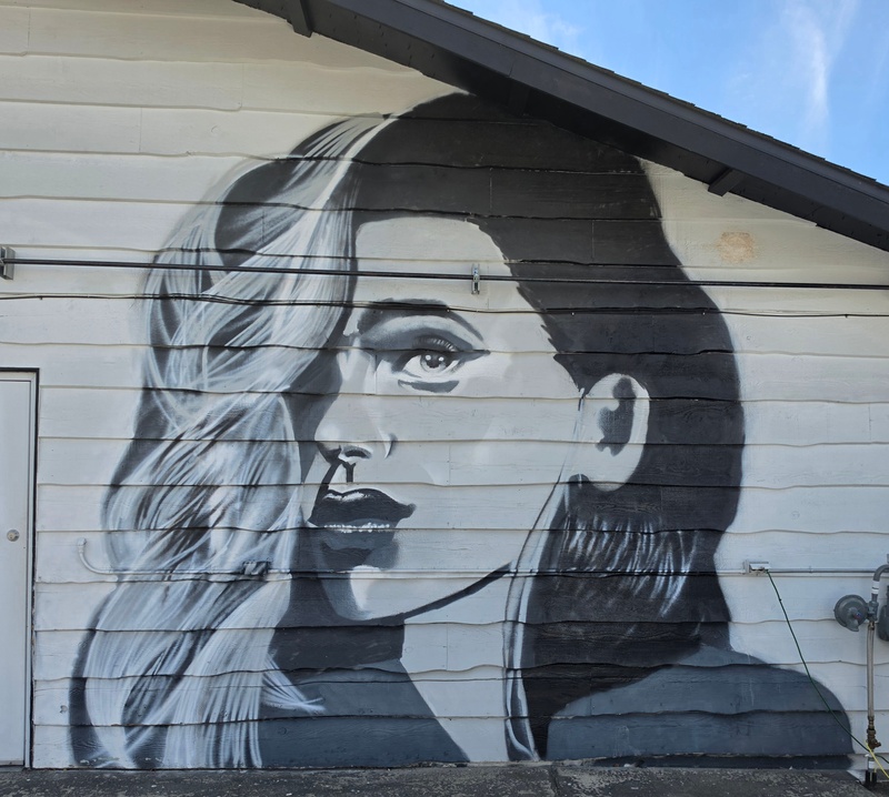 mural in Fairbanks by artist unknown.