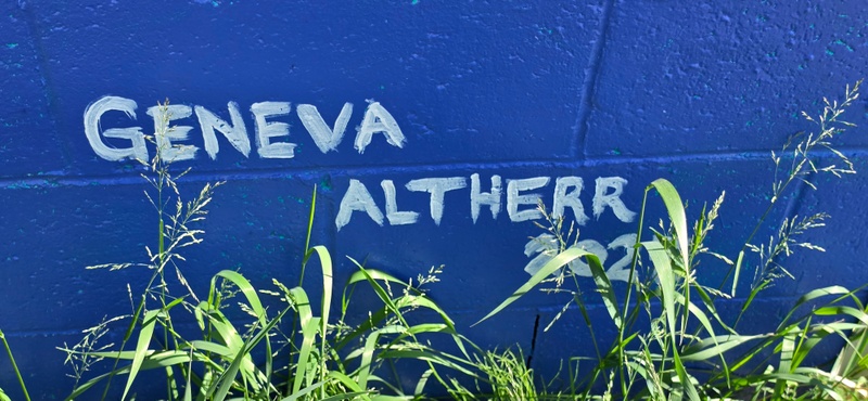 mural in Fairbanks by artist unknown.