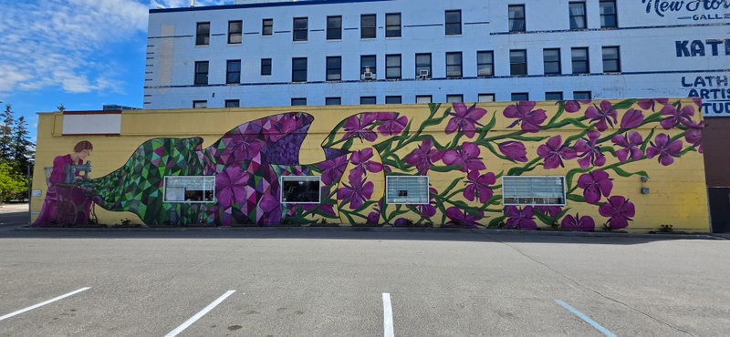 mural in Fairbanks by artist unknown.