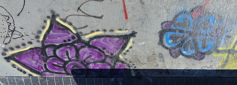 mural in Fairbanks by artist unknown.